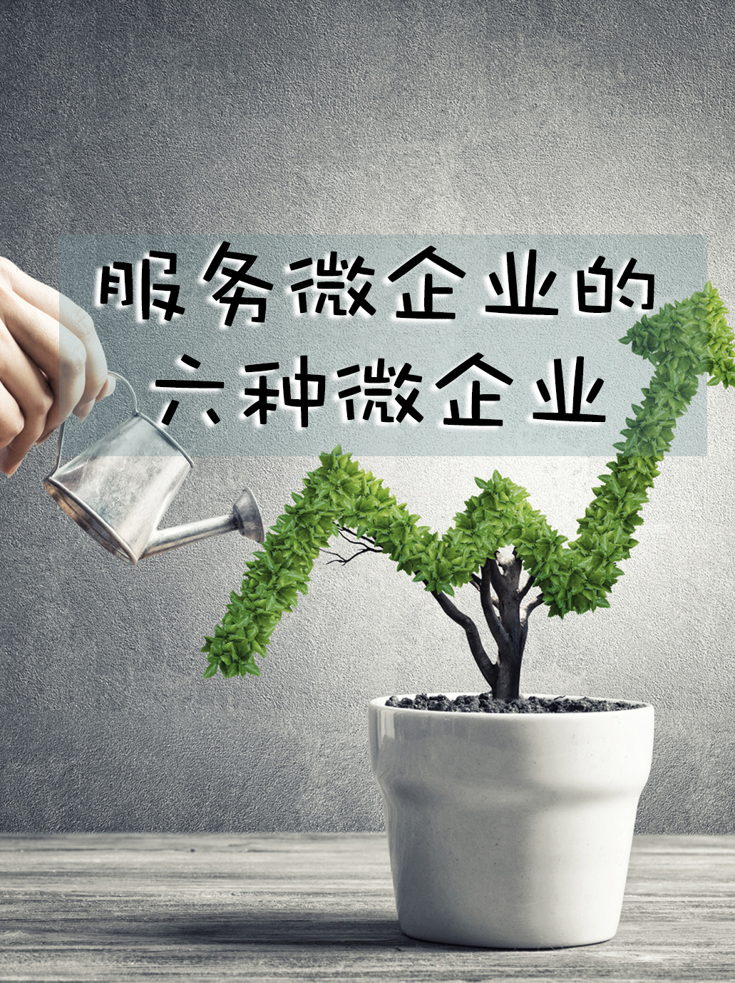 为微企业服务的六种微企业