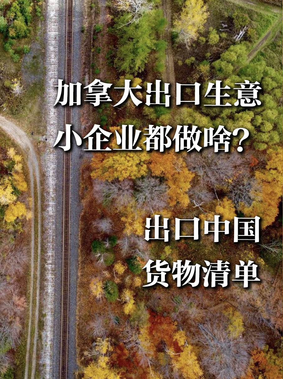 加拿大哪类出口生意最热门？
