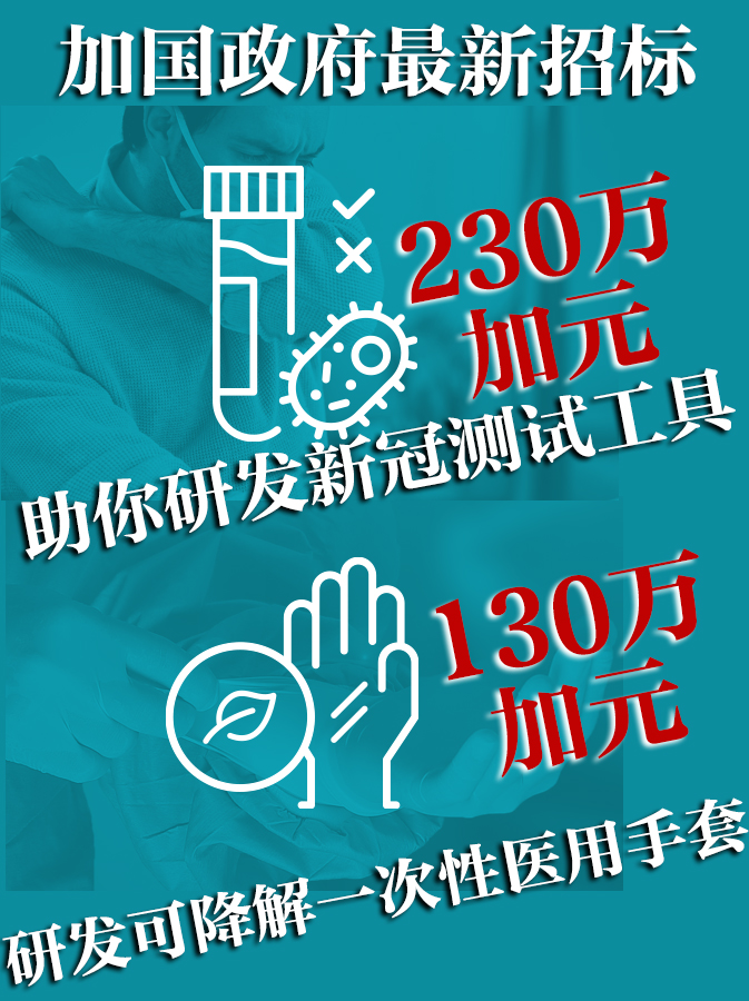 加拿大政府招标加拿大政府招