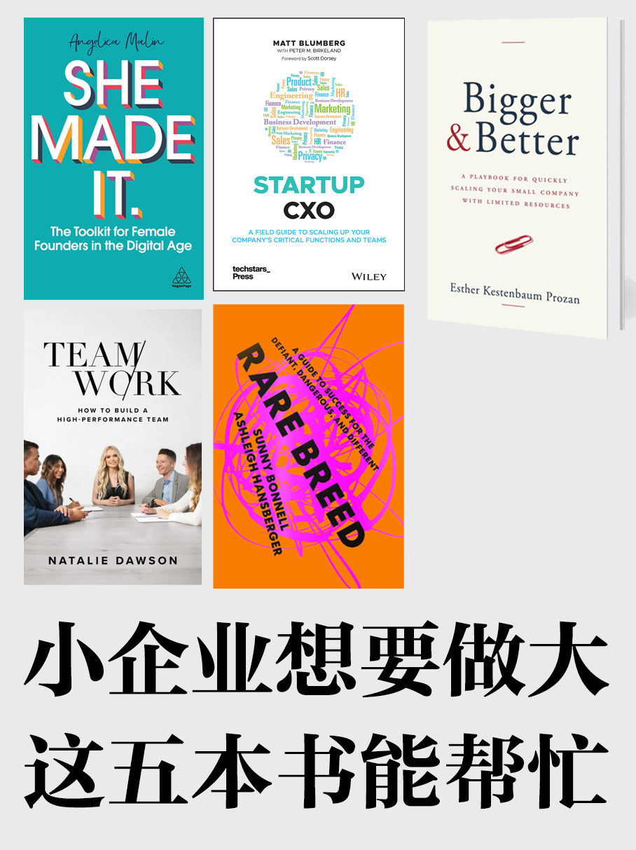 五本书，推荐给希望做大的小