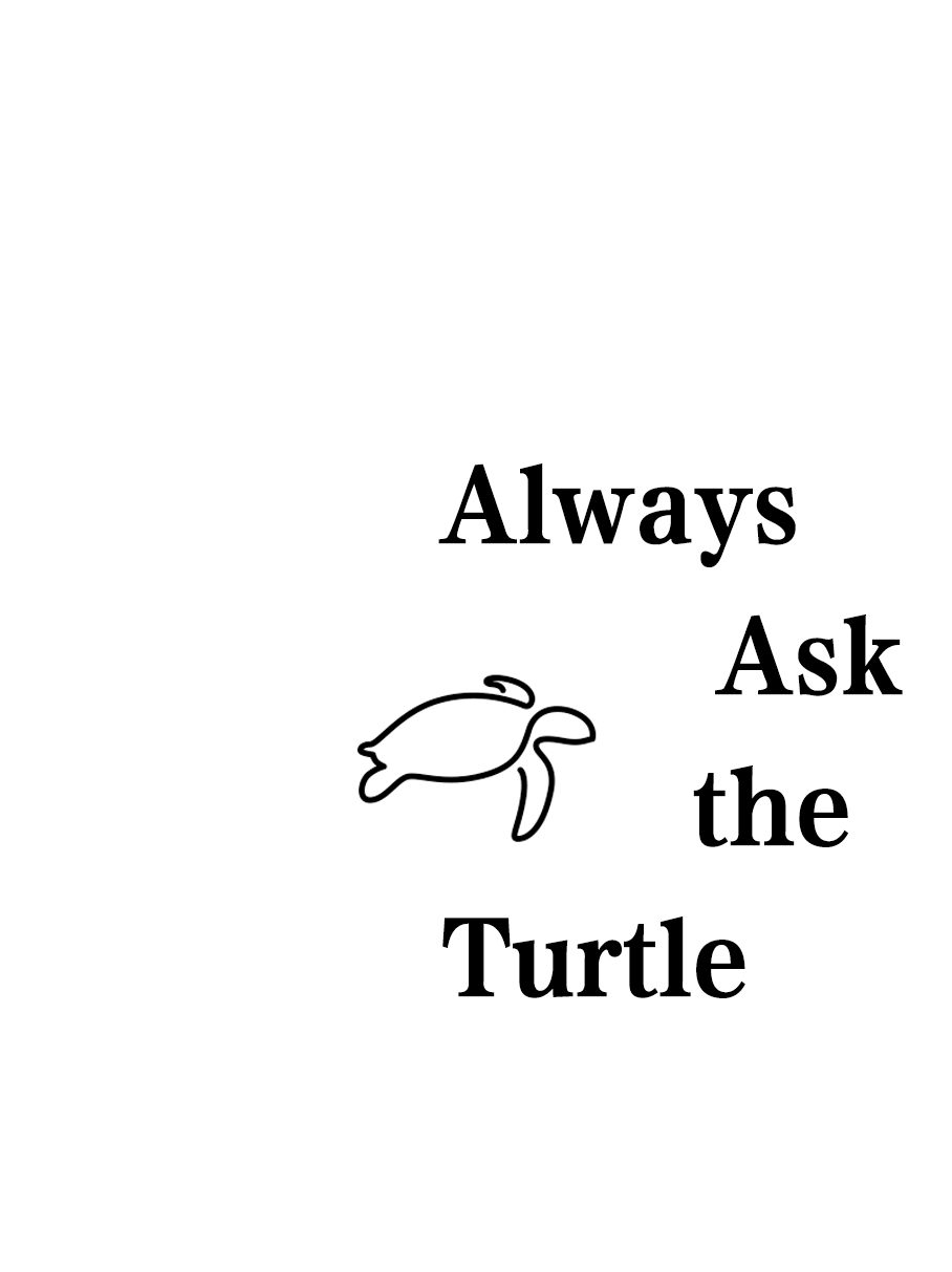Always Ask the Turtle