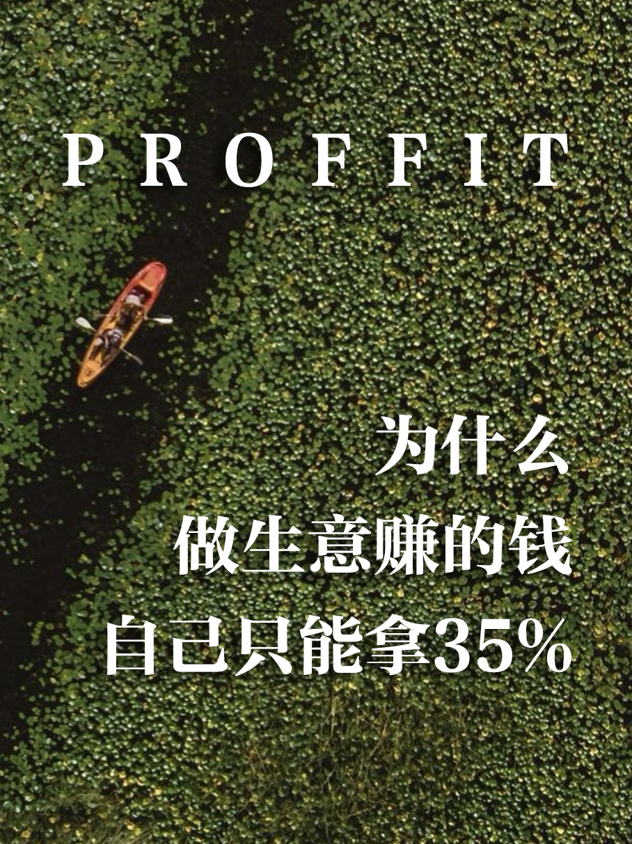 PROFFIT STRATEGY