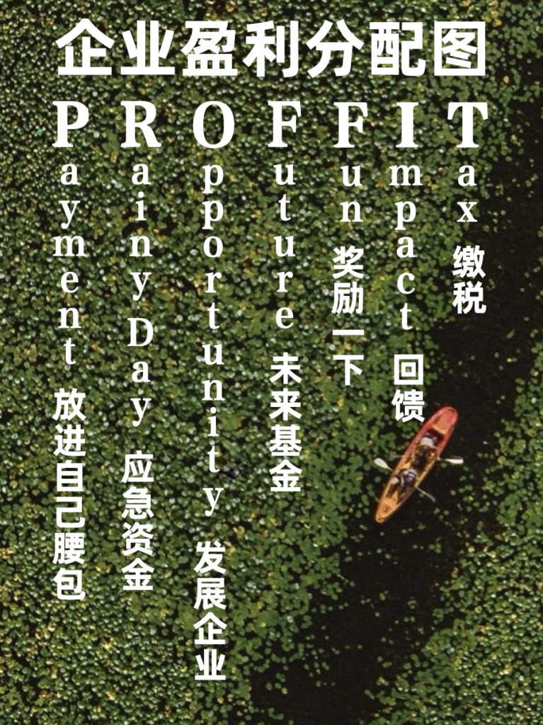 PROFFIT STRATEGY