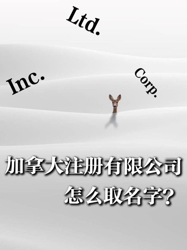 加拿大注册有限公司怎么取名