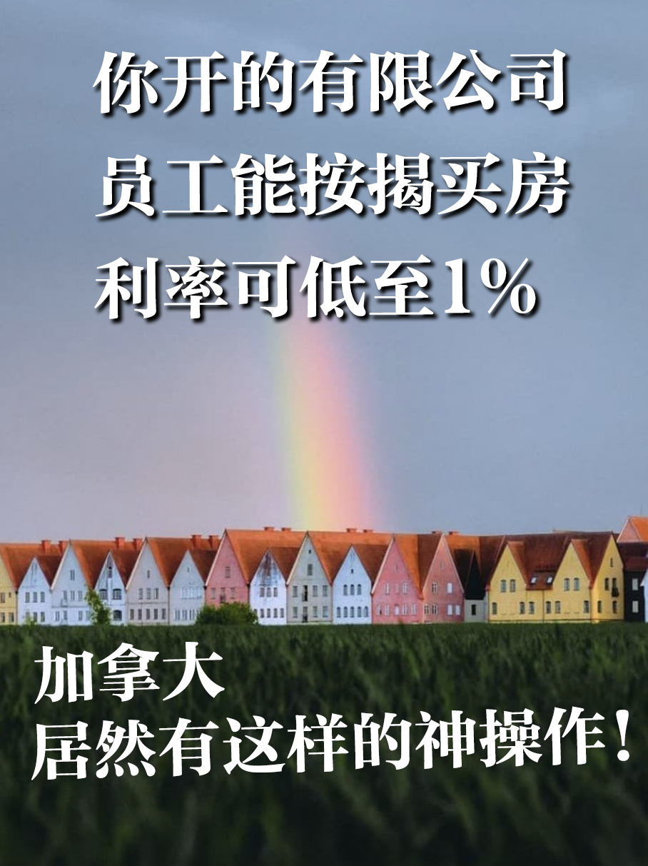 加拿大的有限公司可以低息贷款给员工