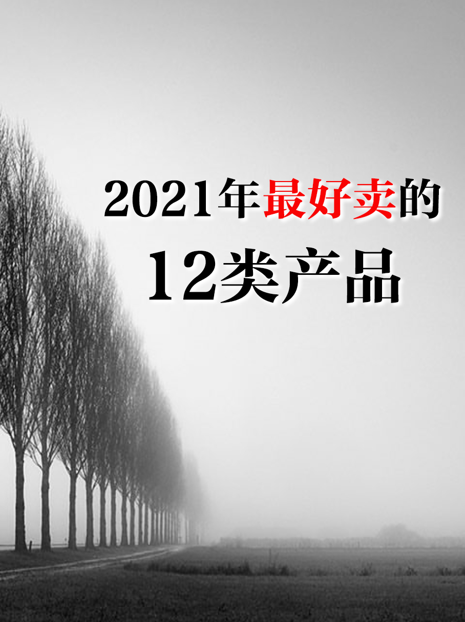 2021年北美最好卖的12个产品