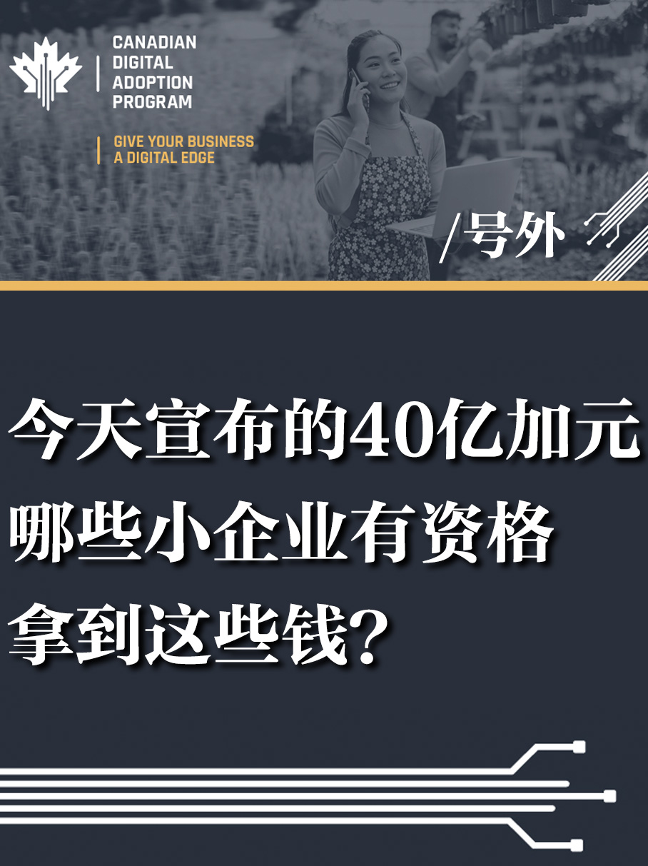 加拿大小企业申请数字化政府赠款